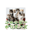猫♥クリスマスツリー・ケーキ・リース（個別スタンプ：29）