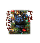 猫♥クリスマスツリー・ケーキ・リース（個別スタンプ：31）