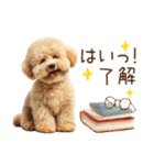 もふもふトイプードルの冬ごあいさつ（個別スタンプ：2）