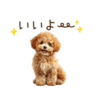 もふもふトイプードルの冬ごあいさつ（個別スタンプ：3）