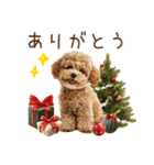 もふもふトイプードルの冬ごあいさつ（個別スタンプ：10）