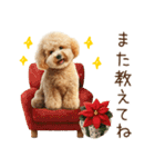 もふもふトイプードルの冬ごあいさつ（個別スタンプ：18）