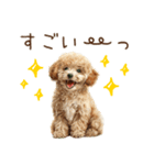 もふもふトイプードルの冬ごあいさつ（個別スタンプ：20）