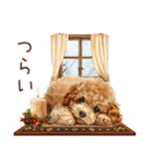 もふもふトイプードルの冬ごあいさつ（個別スタンプ：23）