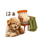 もふもふトイプードルの冬ごあいさつ（個別スタンプ：24）