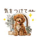 もふもふトイプードルの冬ごあいさつ（個別スタンプ：27）