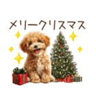 もふもふトイプードルの冬ごあいさつ（個別スタンプ：30）