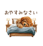 もふもふトイプードルの冬ごあいさつ（個別スタンプ：38）