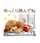 もふもふトイプードルの冬ごあいさつ（個別スタンプ：39）