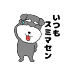 【敬語】シュナウザーのシュナちゃん5（個別スタンプ：3）