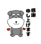 【敬語】シュナウザーのシュナちゃん5（個別スタンプ：4）