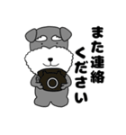 【敬語】シュナウザーのシュナちゃん5（個別スタンプ：11）