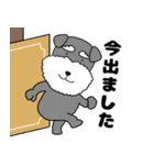 【敬語】シュナウザーのシュナちゃん5（個別スタンプ：14）