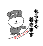 【敬語】シュナウザーのシュナちゃん5（個別スタンプ：15）