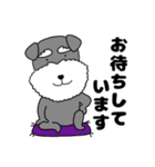 【敬語】シュナウザーのシュナちゃん5（個別スタンプ：18）