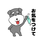 【敬語】シュナウザーのシュナちゃん5（個別スタンプ：20）