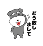 【敬語】シュナウザーのシュナちゃん5（個別スタンプ：23）