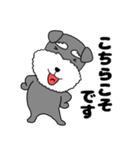 【敬語】シュナウザーのシュナちゃん5（個別スタンプ：24）
