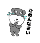 【敬語】シュナウザーのシュナちゃん5（個別スタンプ：26）