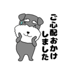 【敬語】シュナウザーのシュナちゃん5（個別スタンプ：27）