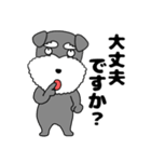 【敬語】シュナウザーのシュナちゃん5（個別スタンプ：31）