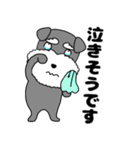 【敬語】シュナウザーのシュナちゃん5（個別スタンプ：33）