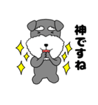 【敬語】シュナウザーのシュナちゃん5（個別スタンプ：34）