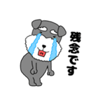 【敬語】シュナウザーのシュナちゃん5（個別スタンプ：39）