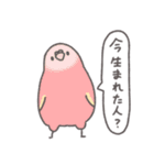どーでもインコ（個別スタンプ：13）