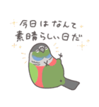 どーでもインコ（個別スタンプ：24）