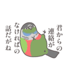 どーでもインコ（個別スタンプ：25）