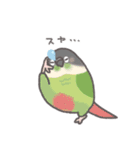 どーでもインコ（個別スタンプ：30）