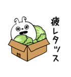 ピタうさぎダジャレの感情（個別スタンプ：19）