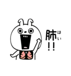 ピタうさぎダジャレの感情（個別スタンプ：20）