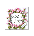 文字入力できる♥華やかボタニカルフレーム（個別スタンプ：4）