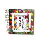 文字入力できる♥華やかボタニカルフレーム（個別スタンプ：10）