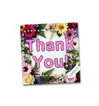 文字入力できる♥華やかボタニカルフレーム（個別スタンプ：13）