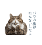 ちょっとだけ煽る猫ちゃん【面白い・ネタ】（個別スタンプ：5）