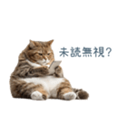 ちょっとだけ煽る猫ちゃん【面白い・ネタ】（個別スタンプ：7）