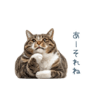 ちょっとだけ煽る猫ちゃん【面白い・ネタ】（個別スタンプ：8）