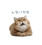 ちょっとだけ煽る猫ちゃん【面白い・ネタ】（個別スタンプ：9）