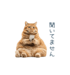 ちょっとだけ煽る猫ちゃん【面白い・ネタ】（個別スタンプ：17）