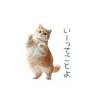 ちょっとだけ煽る猫ちゃん【面白い・ネタ】（個別スタンプ：21）