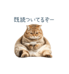 ちょっとだけ煽る猫ちゃん【面白い・ネタ】（個別スタンプ：24）