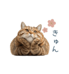 ちょっとだけ煽る猫ちゃん【面白い・ネタ】（個別スタンプ：25）