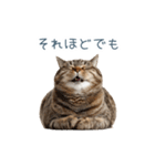 ちょっとだけ煽る猫ちゃん【面白い・ネタ】（個別スタンプ：27）