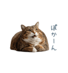 ちょっとだけ煽る猫ちゃん【面白い・ネタ】（個別スタンプ：28）