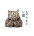 ちょっとだけ煽る猫ちゃん【面白い・ネタ】（個別スタンプ：32）