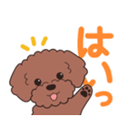 やさしいトイプー『デカ文字・敬語』2（個別スタンプ：1）