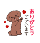 やさしいトイプー『デカ文字・敬語』2（個別スタンプ：9）